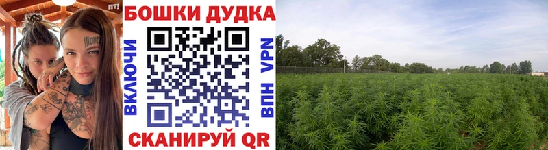 Магазины продажи наркотиков Пересвет Cocaine  A-PVP  МАРИХУАНА  Мефедрон 